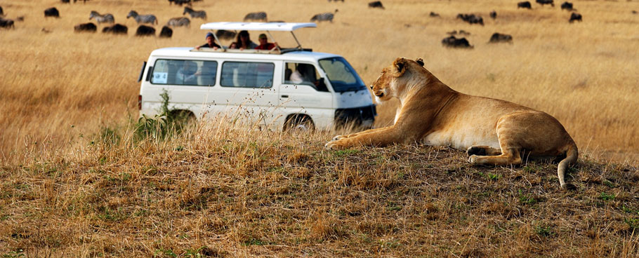 Vera Travel African Safaris